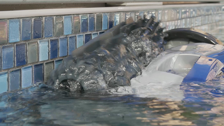 polaris pool video freezeframe